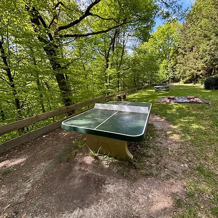 Ferienhaus Le Vieux Sart 14 Coo - *